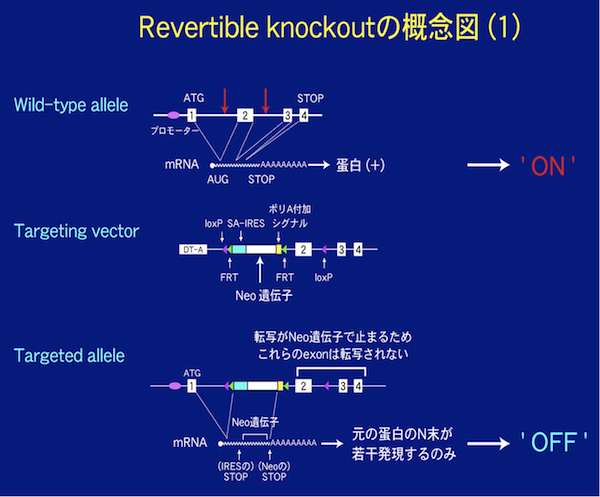 【 fig. 2 】