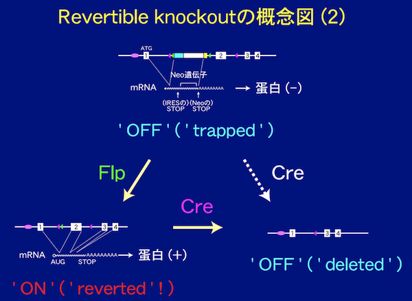 【 fig. 3 】